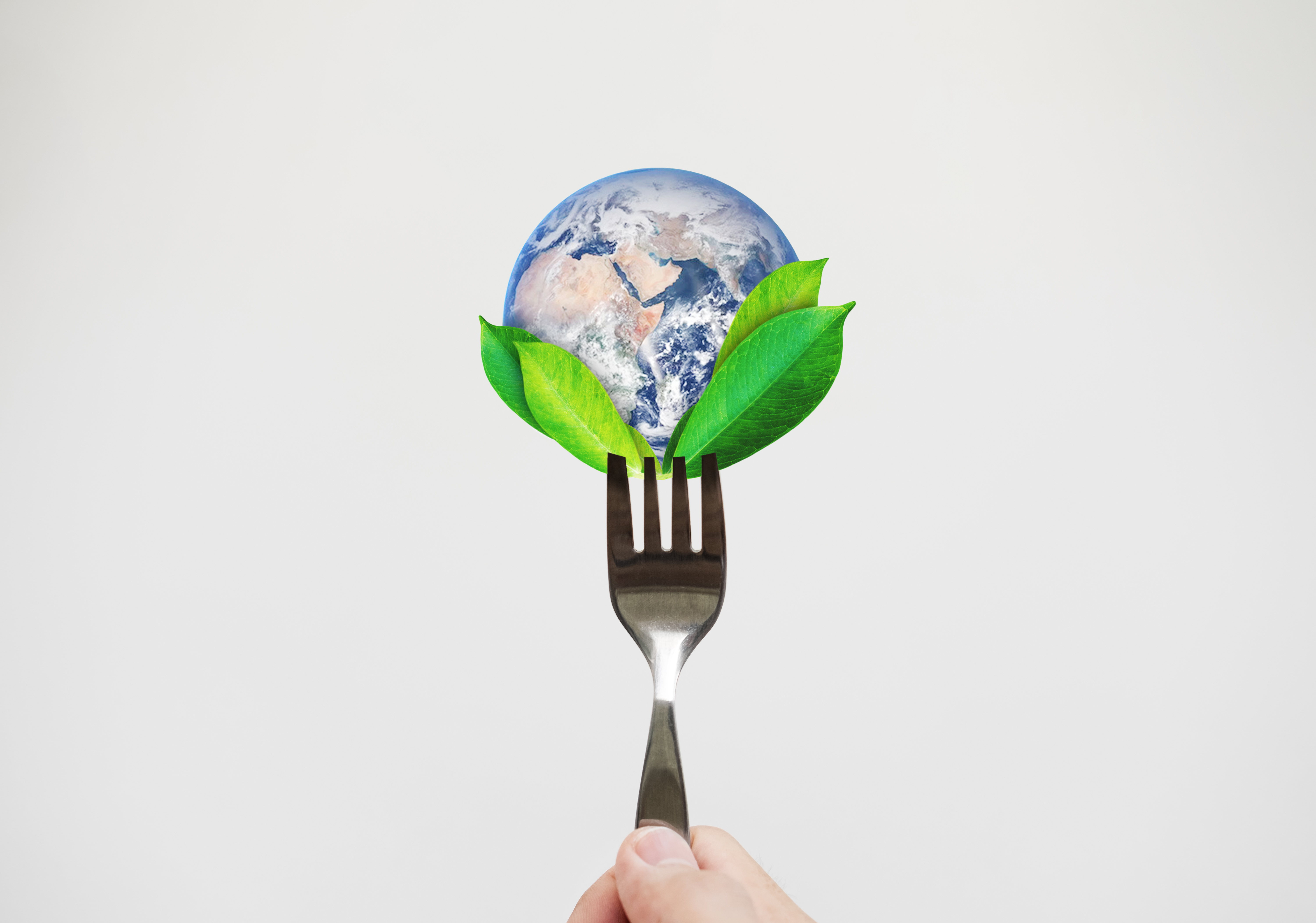 Green Leaf Planet with fork